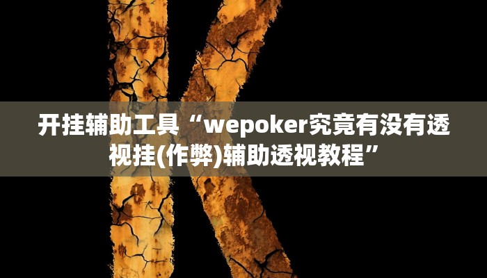 辅助神器“wepoker透视作弊软件”开挂详细教程