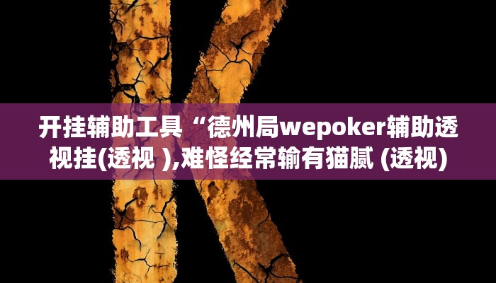开挂辅助工具“德州局wepoker辅助透视挂(透视 ),难怪经常输有猫腻 (透视)