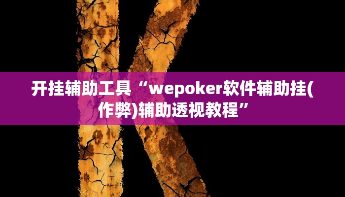 开挂辅助工具“wepoker软件辅助挂(作弊)辅助透视教程”