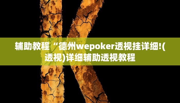 辅助教程“德州wepoker透视挂详细!(透视)详细辅助透视教程