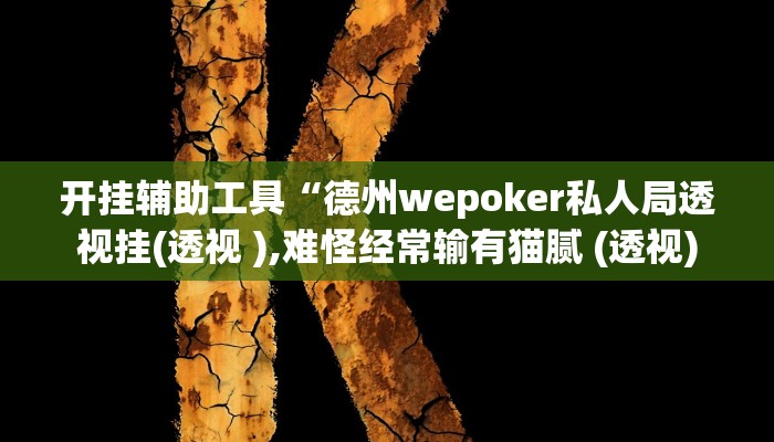 开挂辅助工具“德州wepoker私人局透视挂(透视 ),难怪经常输有猫腻 (透视)