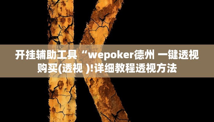 开挂辅助工具“wepoker德州 一键透视购买(透视 )!详细教程透视方法