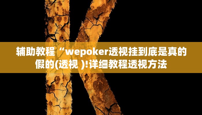 辅助教程“wepoker透视挂到底是真的假的(透视 )!详细教程透视方法