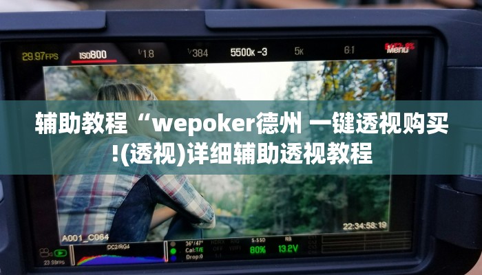 辅助教程“wepoker德州 一键透视购买!(透视)详细辅助透视教程
