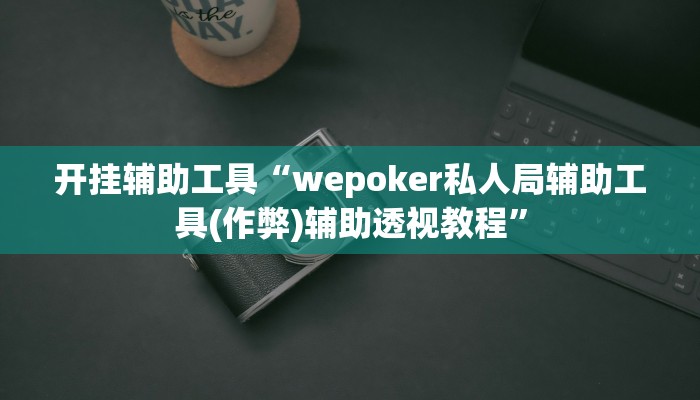 开挂辅助工具“wepoker私人局辅助工具(作弊)辅助透视教程”