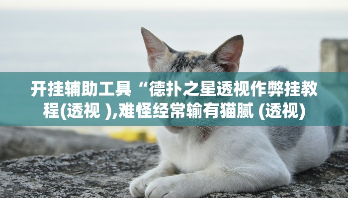 开挂辅助工具“德扑之星透视作弊挂教程(透视 ),难怪经常输有猫腻 (透视)