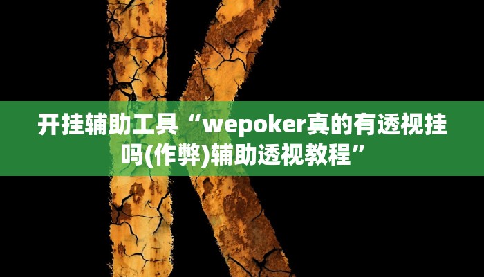 开挂辅助工具“wepoker真的有透视挂吗(作弊)辅助透视教程”