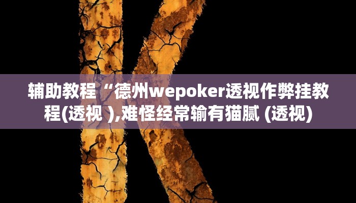 辅助教程“德州wepoker透视作弊挂教程(透视 ),难怪经常输有猫腻 (透视)