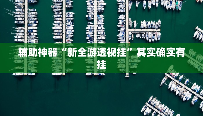 辅助神器“新全游透视挂”其实确实有挂