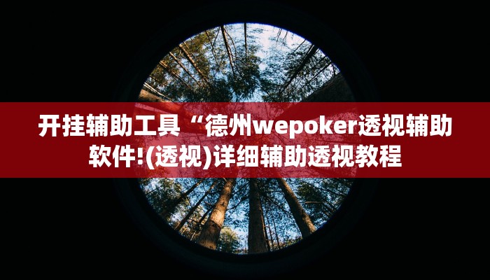开挂辅助工具“德州wepoker透视辅助软件!(透视)详细辅助透视教程