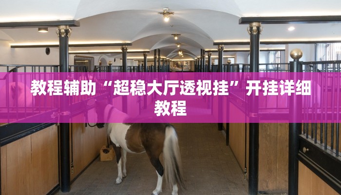 教程辅助“超稳大厅透视挂”开挂详细教程