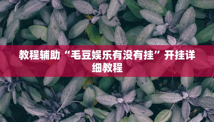 教程辅助“毛豆娱乐有没有挂”开挂详细教程