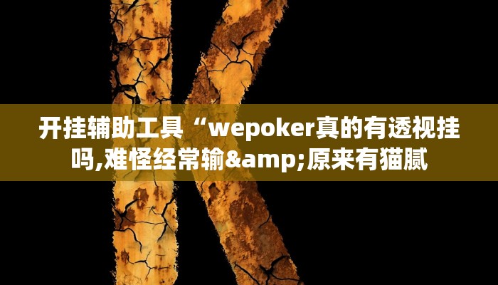 开挂辅助工具“wepoker真的有透视挂吗,难怪经常输&原来有猫腻