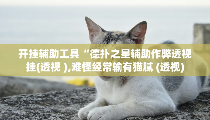 开挂辅助工具“德扑之星辅助作弊透视挂(透视 ),难怪经常输有猫腻 (透视)