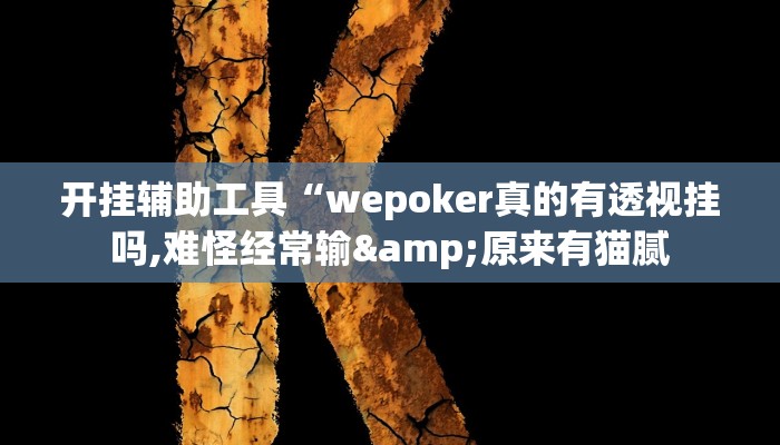 开挂辅助工具“wepoker真的有透视挂吗,难怪经常输&原来有猫腻