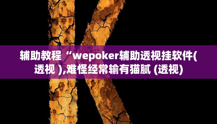 辅助教程“wepoker辅助透视挂软件(透视 ),难怪经常输有猫腻 (透视)