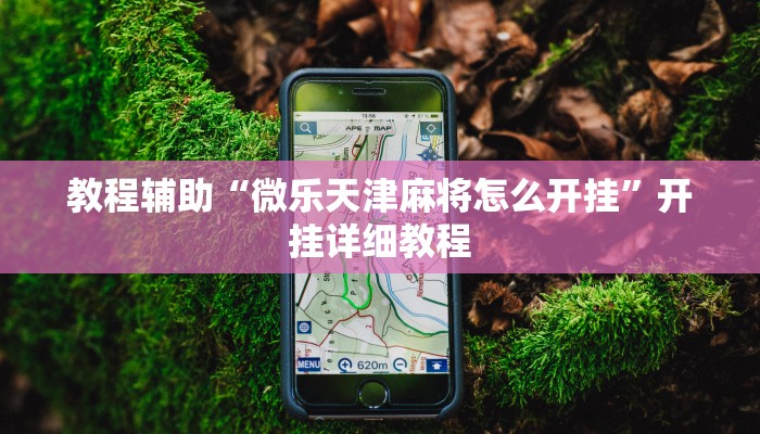 教程辅助“微乐天津麻将怎么开挂”开挂详细教程