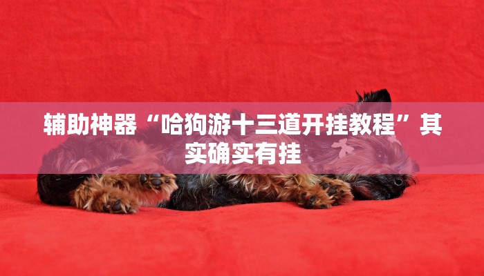 辅助神器“哈狗游十三道开挂教程”其实确实有挂