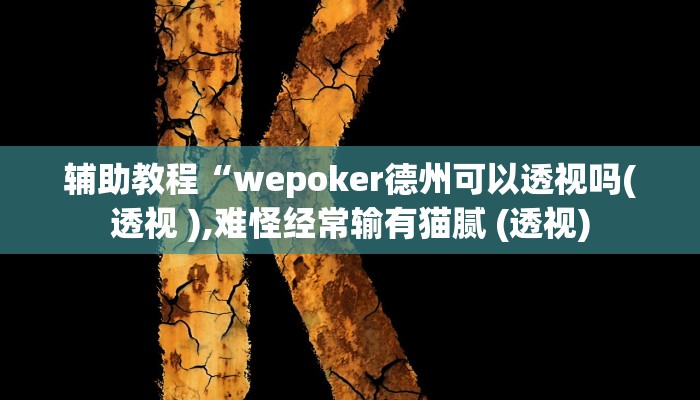开挂辅助工具“新版wepoker透视挂使用教程(透视 )!详细教程透视方法