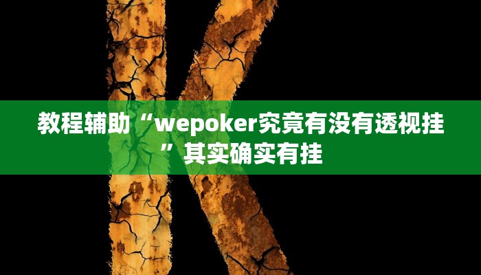 教程辅助“wepoker究竟有没有透视挂”其实确实有挂