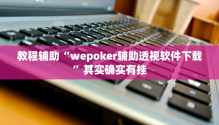 教程辅助“wepoker辅助透视软件下载”其实确实有挂