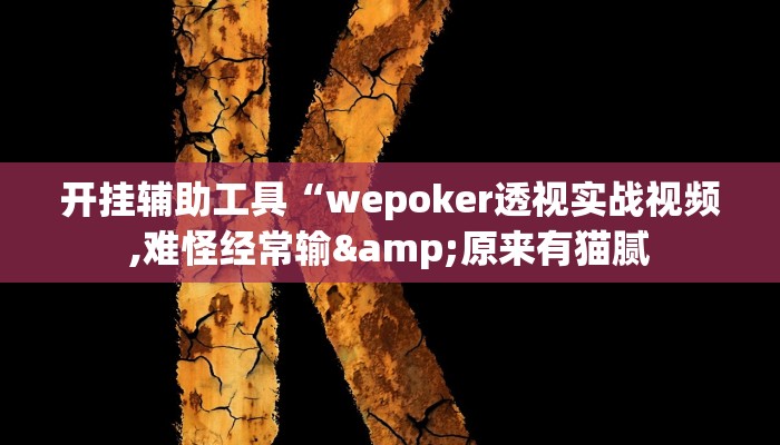 开挂辅助工具“wepoker透视实战视频,难怪经常输&原来有猫腻
