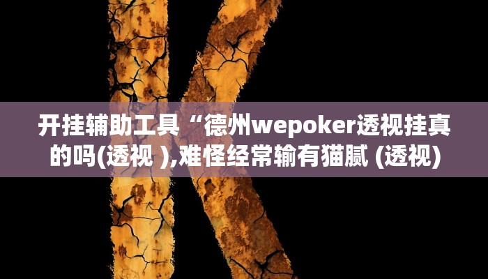 开挂辅助工具“德州wepoker透视挂真的吗(透视 ),难怪经常输有猫腻 (透视)