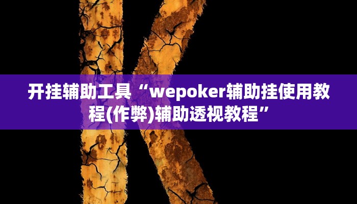 开挂辅助工具“wepoker辅助挂使用教程(作弊)辅助透视教程”