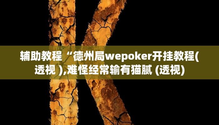 辅助教程“德州局wepoker开挂教程(透视 ),难怪经常输有猫腻 (透视)