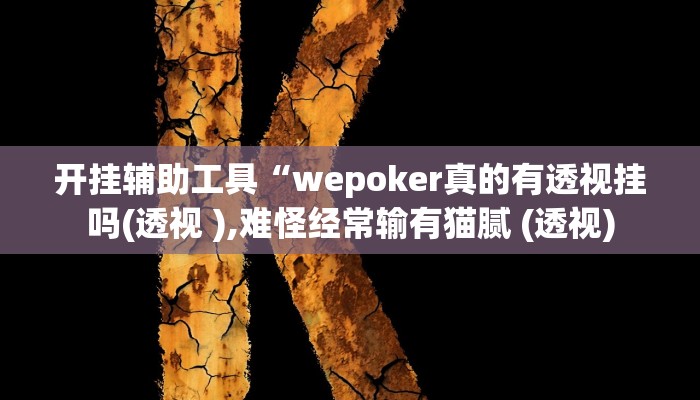 开挂辅助工具“wepoker真的有透视挂吗(透视 ),难怪经常输有猫腻 (透视)