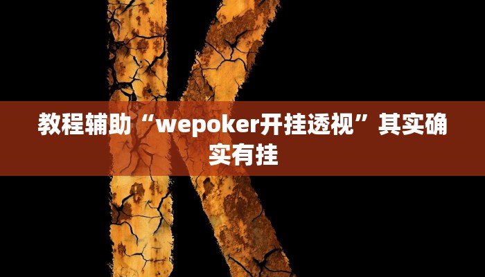 教程辅助“wepoker开挂透视”其实确实有挂