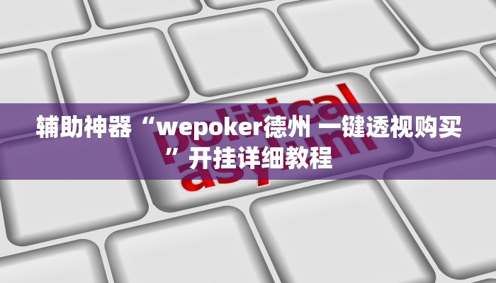 辅助神器“wepoker德州 一键透视购买”开挂详细教程