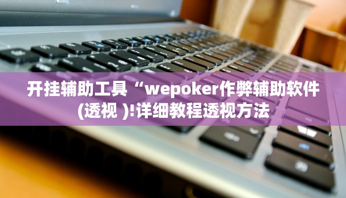 开挂辅助工具“wepoker作弊辅助软件(透视 )!详细教程透视方法