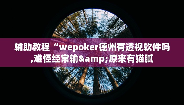 辅助教程“wepoker德州有透视软件吗,难怪经常输&原来有猫腻