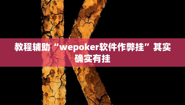 教程辅助“wepoker软件作弊挂”其实确实有挂