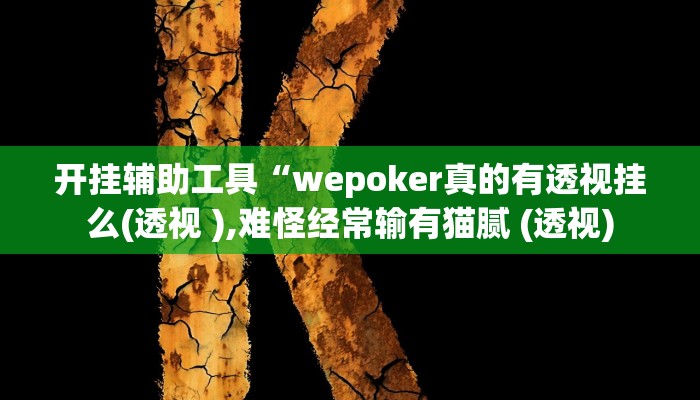 开挂辅助工具“wepoker真的有透视挂么(透视 ),难怪经常输有猫腻 (透视)