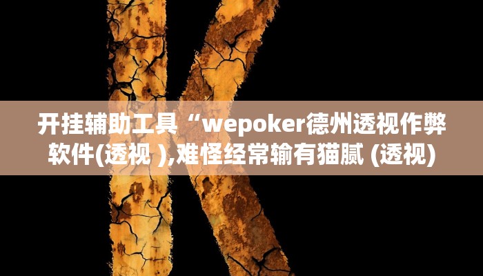 开挂辅助工具“wepoker德州透视作弊软件(透视 ),难怪经常输有猫腻 (透视)