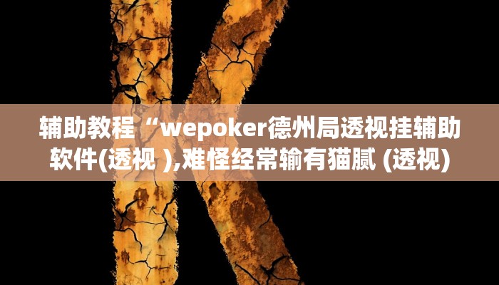 辅助教程“wepoker德州局透视挂辅助软件(透视 ),难怪经常输有猫腻 (透视)
