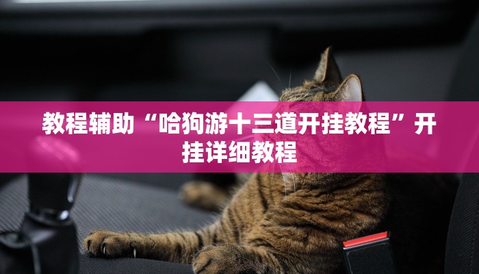 教程辅助“哈狗游十三道开挂教程”开挂详细教程