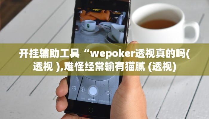 开挂辅助工具“wepoker透视真的吗(透视 ),难怪经常输有猫腻 (透视)