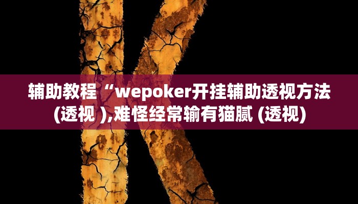 辅助教程“wepoker开挂辅助透视方法(透视 ),难怪经常输有猫腻 (透视)