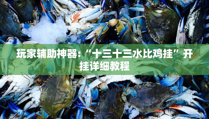 玩家辅助神器:“十三十三水比鸡挂”开挂详细教程