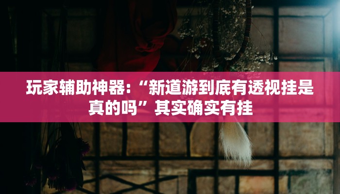 玩家辅助神器:“新道游到底有透视挂是真的吗”其实确实有挂