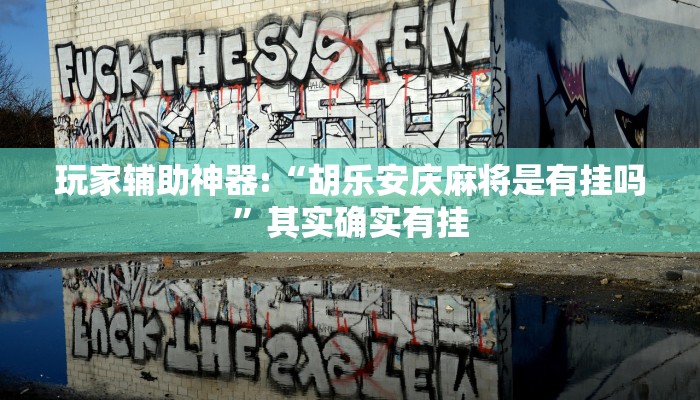 玩家辅助神器:“胡乐安庆麻将是有挂吗”其实确实有挂