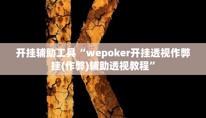 开挂辅助工具“wepoker开挂透视作弊挂(作弊)辅助透视教程”